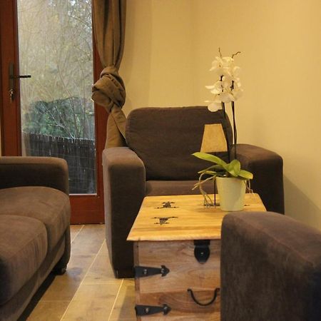 Maison Neuve En Bois Pres De Pairy Daisa Brugelette Luaran gambar
